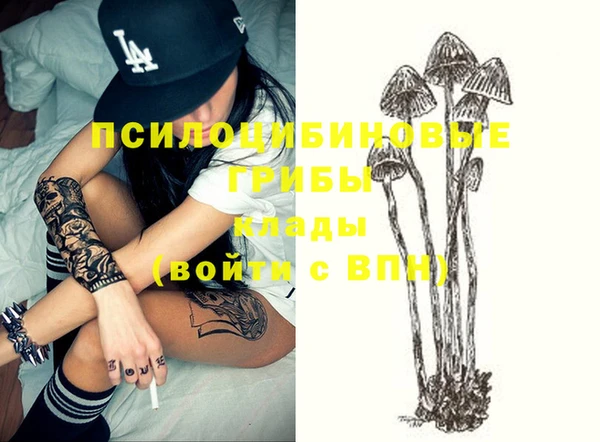 винт Абаза