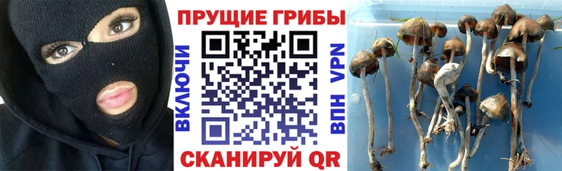 Галлюциногенные грибы Cubensis Лабытнанги