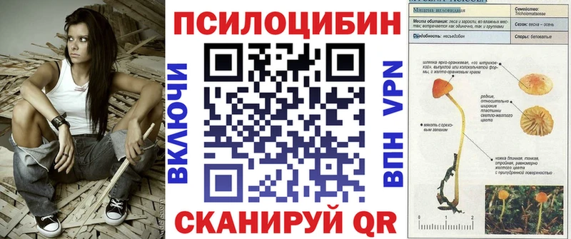 Псилоцибиновые грибы Magic Shrooms купить закладку Лабытнанги