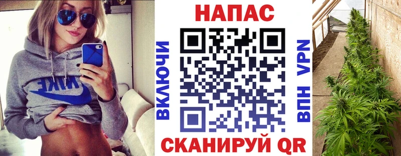 Конопля сатива  купить наркотики цена  Лабытнанги 